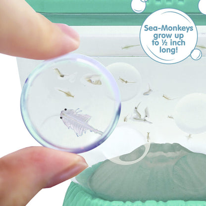 Sea-Monkeys Ocean Volcano - US 8234