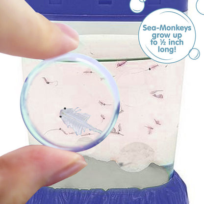 Sea-Monkeys Magiquarium - US 1210