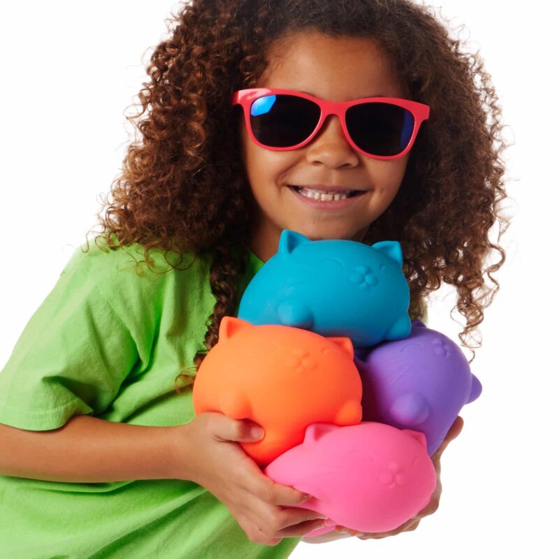 Super NeeDoh Cool Cats - US 2138